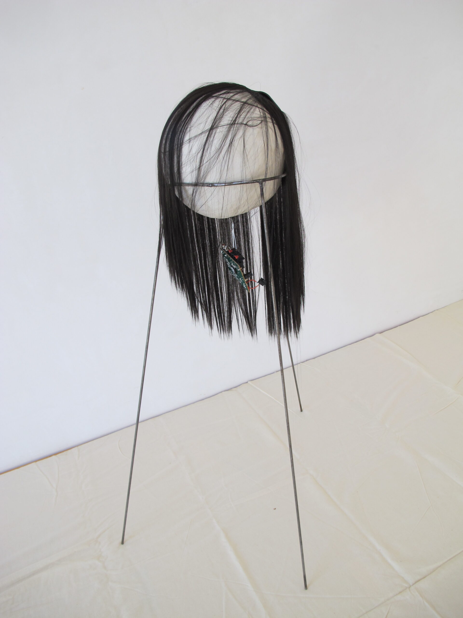 Hairyclay